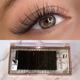 C CURL 0.15mm MIX LENGTH Lash Tray - Lashpire