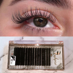 D CURL 0.15mm MIX LENGTH Lash Tray - Lashpire