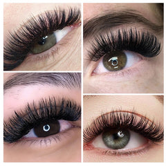 0.07mm MIX LENGTH Bloom Five-leaf Clover Auto Flowering W-shaped 5D Premade Volume Lash Tray