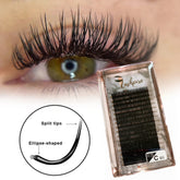 C CURL 0.20mm MIX LENGTH Ellipse Flat Cashmere Lash Tray