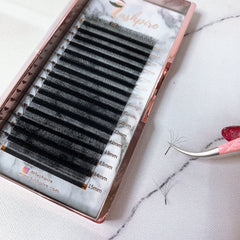0.07mm MIX LENGTH Bloom Five-leaf Clover Auto Flowering W-shaped 5D Premade Volume Lash Tray