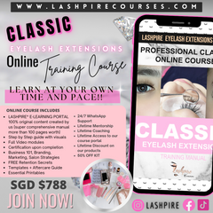 Classic and Volume Advanced Eyelash Extensions Online Course