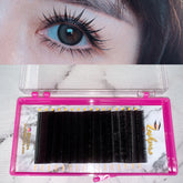 LASHPIRE® ECO COLLECTION 0.05mm MIX LENGTH Volume Lash Tray