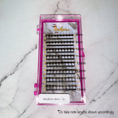 LASHPIRE® ECO COLLECTION 0.07mm MIX LENGTH Pro-made Ready made Katun Wispy 9D Premade Spikes Volume Fans Lash Tray