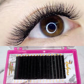 LASHPIRE® ECO COLLECTION 0.03mm MIX LENGTH Volume Lash Tray