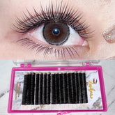 LASHPIRE® ECO COLLECTION 0.15mm MIX LENGTH Ellipse Flat Cashmere Classic Lash Tray