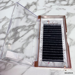 C CURL 0.05mm MIX LENGTH 10-12-14mm Camellia Lash Tray - Lashpire