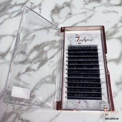 D CURL 0.05mm MIX LENGTH 11-13-15mm Camellia Lash Tray - Lashpire