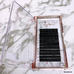 D CURL 0.05mm SINGLE LENGTH Easy Fan Fast-fanning Lash Tray - Lashpire