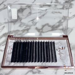 D CURL 0.07mm MIX LENGTH Lash Tray - Lashpire