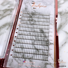 C CURL 0.07mm SINGLE LENGTH Pro-made 3D Volume Fans Lash Tray - Lashpire
