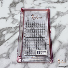 D CURL 0.07mm SINGLE LENGTH Pro-made 4D Volume Fans Lash Tray - Lashpire