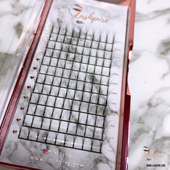 C CURL 0.07mm SINGLE LENGTH Pro-made 6D Volume Fans Lash Tray - Lashpire