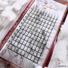 C CURL 0.07mm SINGLE LENGTH Pro-made 6D Volume Fans Lash Tray - Lashpire