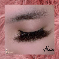 Alaia - Lashpire