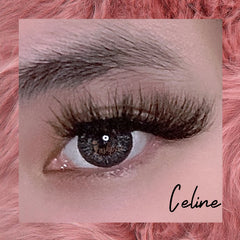 Celine - Lashpire