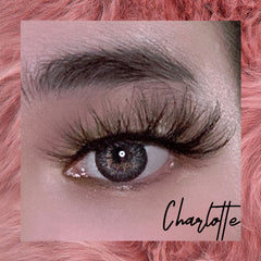 Charlotte - Lashpire