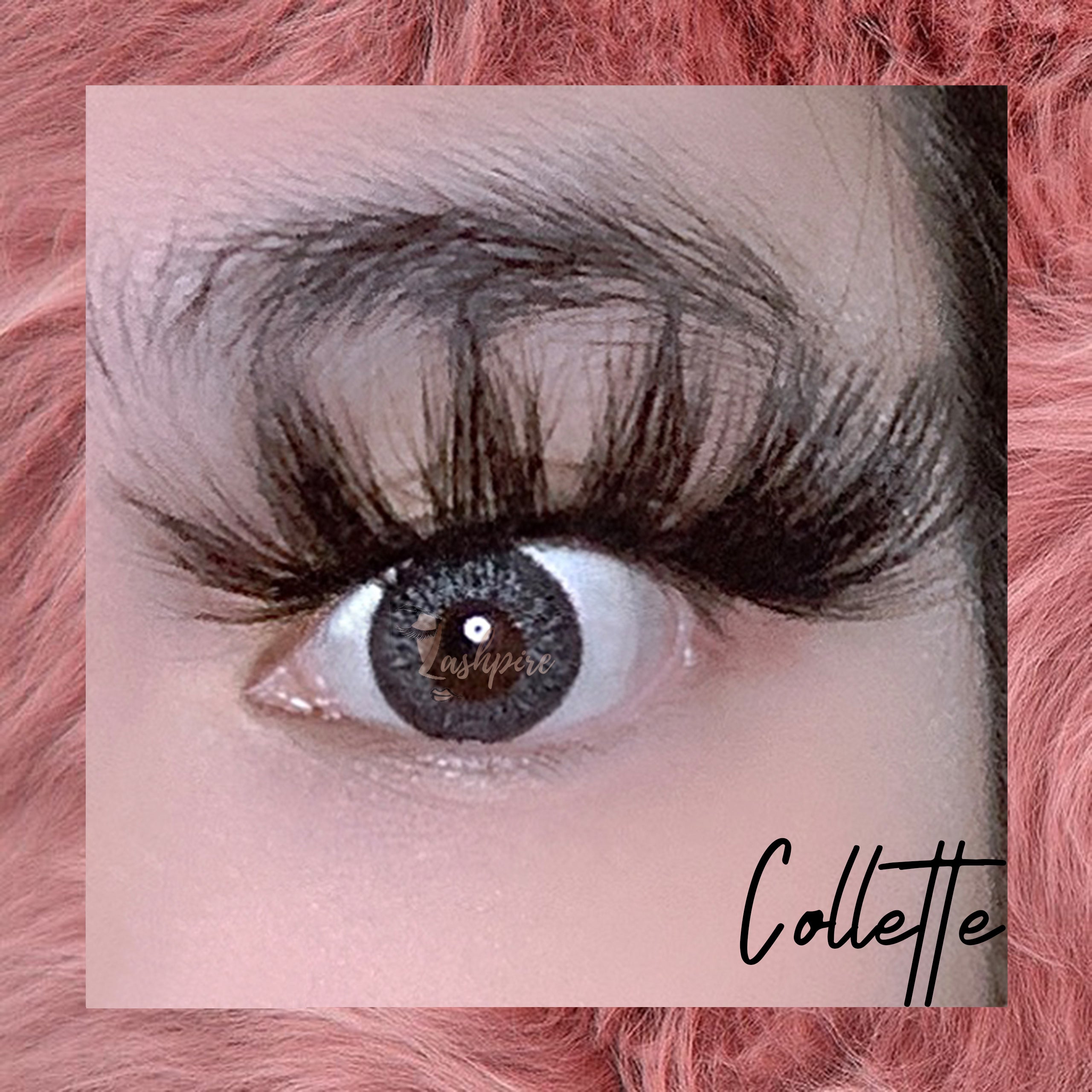 Collette - Lashpire