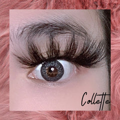 Collette - Lashpire