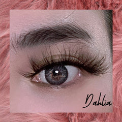 Dahlia - Lashpire