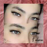 Feline - Lashpire