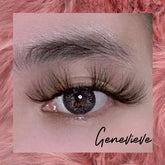 Genevieve - Lashpire