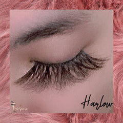 Harlow - Lashpire
