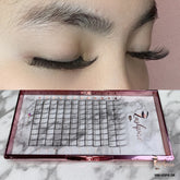 D CURL 0.07mm SINGLE LENGTH Pro-made Ready made 4D Volume Fans Lash Tray - Lashpire