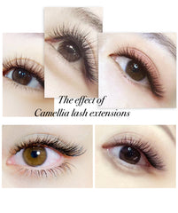 D CURL 0.05mm MIX LENGTH 8-10-12mm Camellia Lash Tray - Lashpire