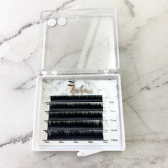 LASHPIRE® CAPSULE COLLECTION D CURL 0.05mm MIX LENGTH Mini Lash Tray