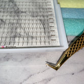 LASHPIRE® 4D Premade Fans XL Tray 0.07mm MIX LENGTH Pro-made Ready made 4D Premade Volume Fans Lash Tray