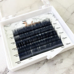 LASHPIRE® CAPSULE COLLECTION C CURL 0.05mm MIX LENGTH Mini Lash Tray