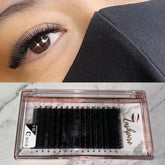 C CURL 0.05mm MIX LENGTH 10-11-12mm Camellia Lash Tray