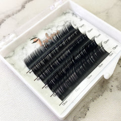 LASHPIRE® CAPSULE COLLECTION D CURL 0.15mm MIX LENGTH Mini Lash Tray