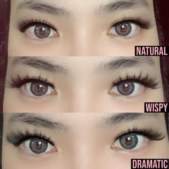 (BUY 1 FREE 1) LASHPIRE® Magnetic Lash Kit