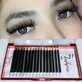 D CURL 0.05mm MIXED LENGTH Easy Fan Fast-fanning Lash Tray