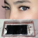 C CURL 0.05mm MIX LENGTH 8-9-10mm Camellia Lash Tray
