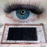 D CURL 0.05mm MIX LENGTH 11-13-15mm Camellia Lash Tray - Lashpire