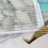 LASHPIRE® 3D Premade Fans XL Tray 0.07mm MIX LENGTH Pro-made Ready made 3D Premade Volume Fans Lash Tray