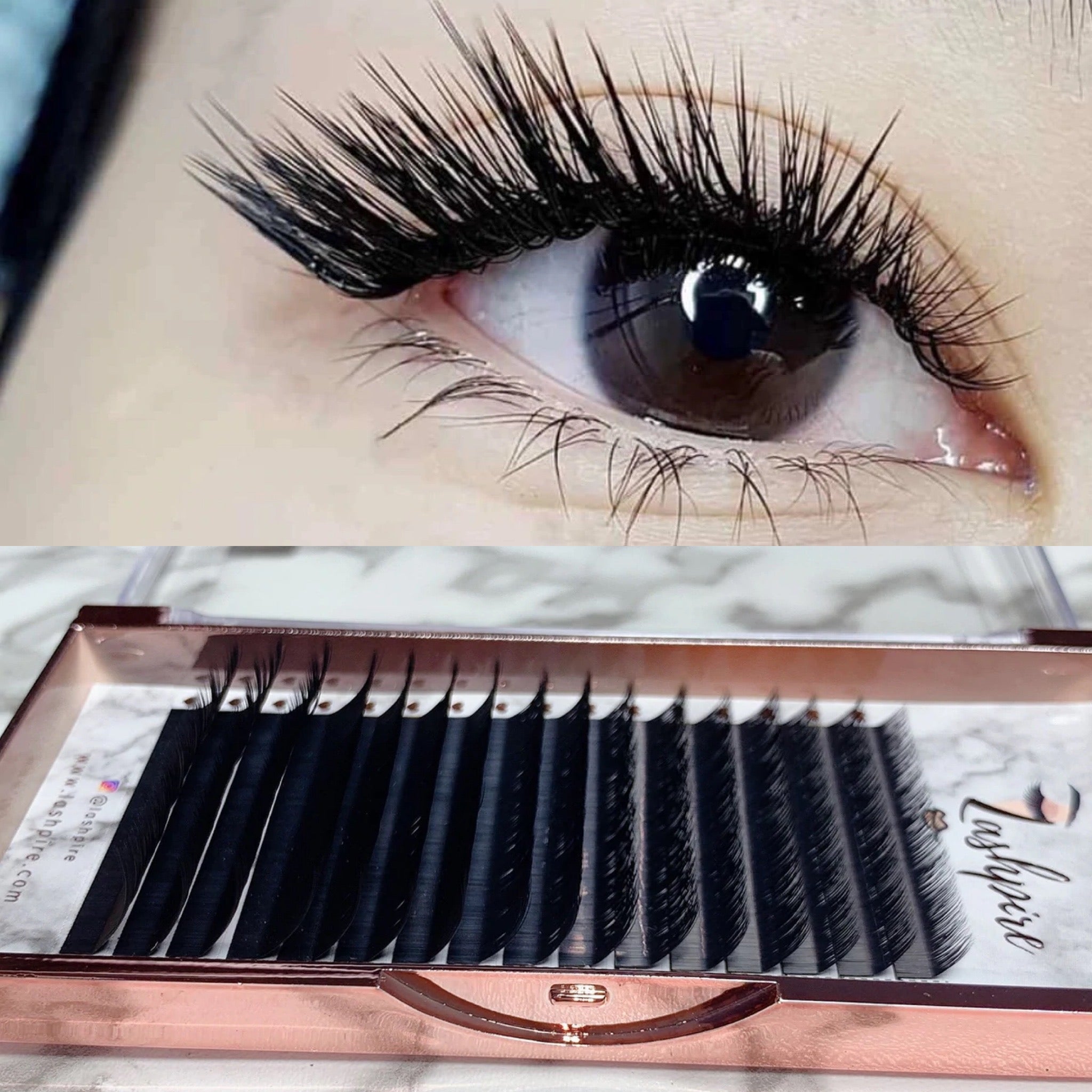 L CURL 0.10mm MIX LENGTH Lash Tray - Lashpire
