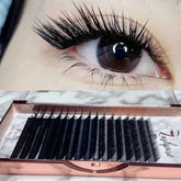 L CURL 0.10mm MIX LENGTH Lash Tray - Lashpire
