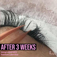 Eyelash Extensions Glue - LASHPIRE® Premium Label - Lashpire