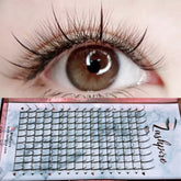 D CURL 0.07mm MIX LENGTH 11-12-13mm Premade Fan Spikes