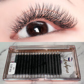 C CURL 0.07mm MIX LENGTH YY Premade Volume Lash Tray - Lashpire