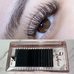 C CURL 0.20mm MIX LENGTH Ellipse Flat Cashmere Lash Tray