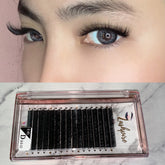 D CURL 0.05mm MIX LENGTH 8-9-10mm Camellia Lash Tray