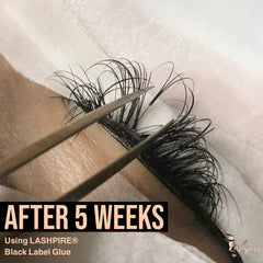 Eyelash Extensions Glue - LASHPIRE® Black Label - Lashpire