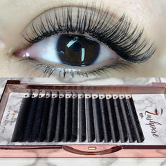D CURL 0.20mm MIX LENGTH Eclipse Flat Cashmere Lash Tray - Lashpire