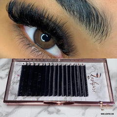 CC CURL 0.07mm MIX LENGTH Lash Tray - Lashpire