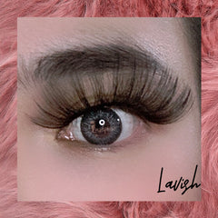 Lavish - Lashpire